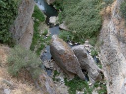 Rhonda_20021130_0024